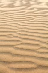 Fototapeta na wymiar Sand formations looking like dunes