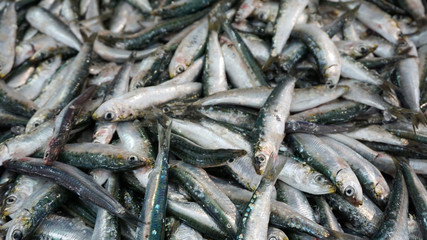 Obraz premium fish market