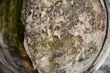 Mold damage on the wall close up