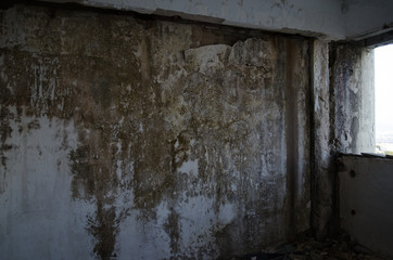Fototapeta na wymiar Mold damage wall abandoned