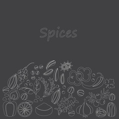 Vector hand drawn set with Herbs Spices