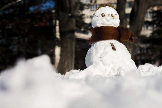 Snowman in the parc with glasses and scarf.