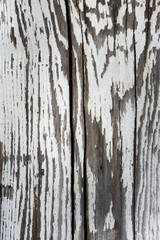 Fragment of old wooden boards with peeling white paint, background
