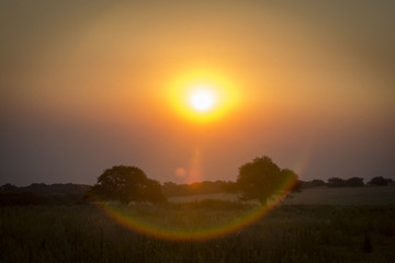 Pampas landscape, Argentina