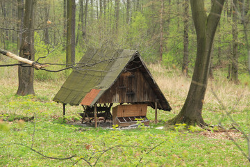 wooden cratch for wild animals in the green forest