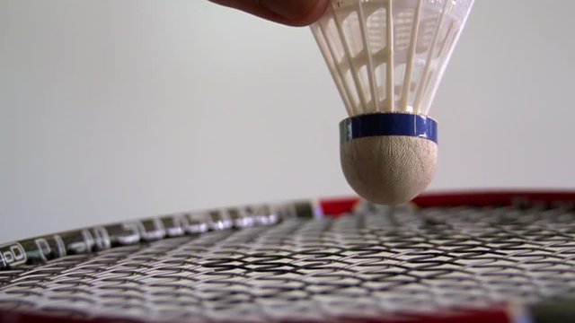 Badminton player lifts shuttlecock up ready to serve