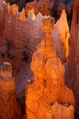 Glowing Hoodoos in Bryce Canyon Southern Utah