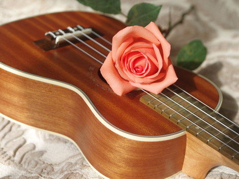 Rose on ukulele, Love, Valentines concept.
