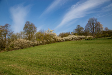 Waldecker Schloßberg