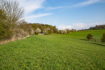 Waldecker Schloßberg