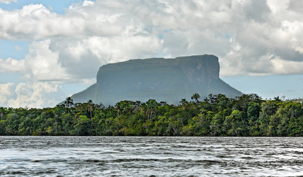 The tepui on Carrao river near lagoon of Canaima national park - Venezuela