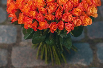 Orange but roses for a holiday, bright flowers close up, background