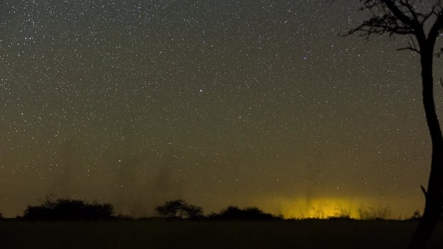 A linear timelapse of a dark landscape scene and a silhouette Acacia tree with stars twisting through and the moon rises to light up the landscape