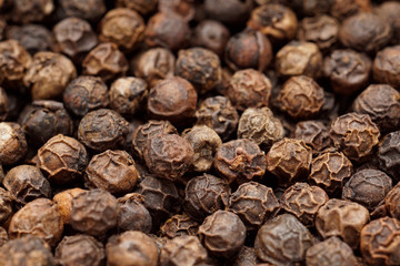 Black pepper corn closeup 