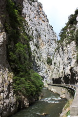 Fototapeta na wymiar Gorges de Saint Georges dans les Pyrénées audoises, France