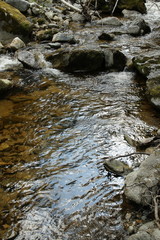 Rivière de l'Agly dans les Gorges de Galamus, Pyrénées orientales, France