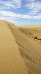 Beautiful sand dune in sunshine day at Maspalomas, Spain