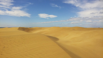 Fototapeta na wymiar Beautiful sand dune in sunshine day at Maspalomas, Spain