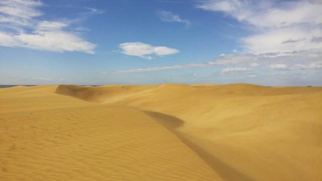 Beautiful sand dune in sunshine day at Maspalomas, Spain © Pinanrak