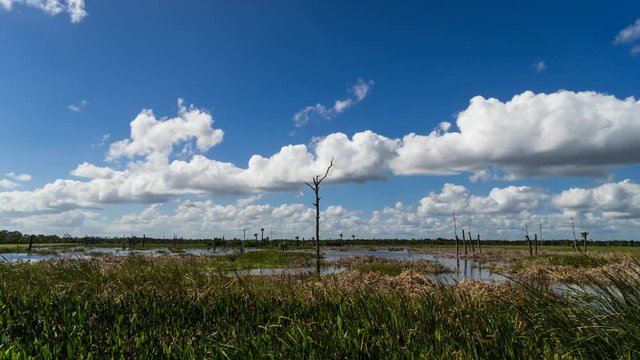 Viera Wetlands, Time Lapse