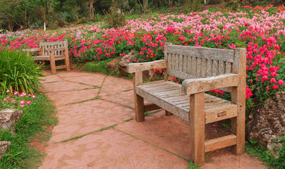 Bench wood in the garden, the royal agricultural Angkhangstation in chiangmai, North of Thailand.