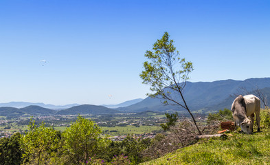 Paisagem com vale e montanhas.