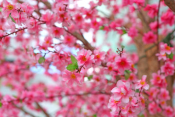 Artificial Sakura flowers for decorating japanese style selected focus at center