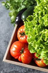 Vegetable background: fresh lettuce, tomatoes, aubergine and zucchini