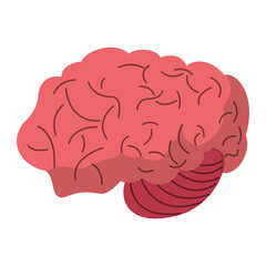 brain human process idea vector illustration eps 10