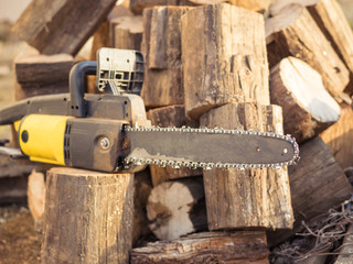 Electric hand saw and cut trees for firewood.