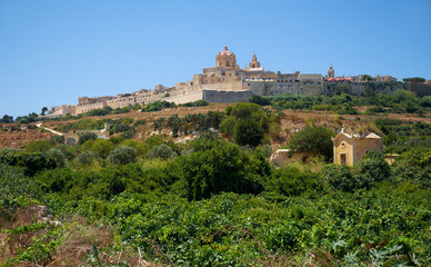 Fototapeta na wymiar View of Mdina's St. Paul's Cathedral from the countryside below, Malta