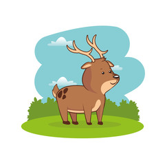 cute reindeer animal baby with landscape vector illustration eps 10