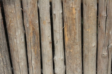 Wood Wooden Log Log Fence Outside Outdoor Tree Trees