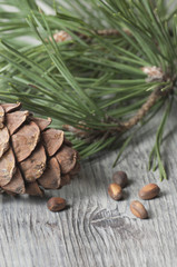 Cedar cone, nuts and needles