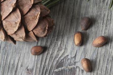 Cedar cone, nuts and needles