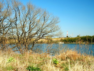 矢切の渡しのある江戸川風景