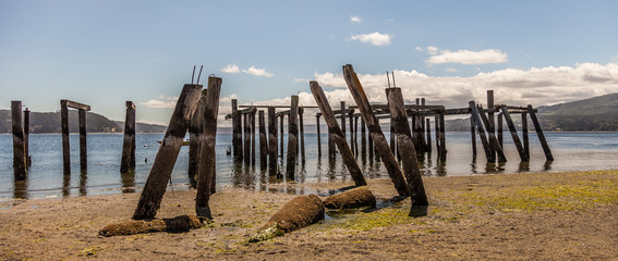 pier pilings at low tide