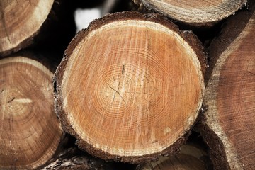 logs, woods, construction