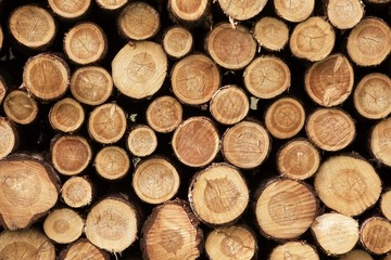 logs, woods, construction