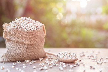 Millet rice or millet grains in small sack on wooden table. Outdoor shooting with sunlight and blur background