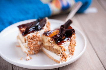 Pieces of cake and metal paddle 