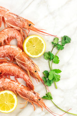 Raw shrimps with slices of lemon, cilantro, and copyspace