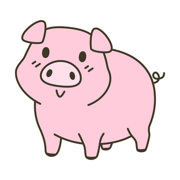 cute pig zodiac cartoon