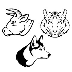 Fototapeta na wymiar Vector set of black bull head, wolf head and Tiger head Isolated on white background. Animal logo