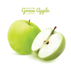 Green apple and half isolated. fruits vector illustration. Modern style realistic