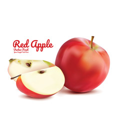 Red apple and slice isolated. fruits vector illustration. Modern style realistic