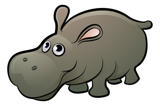 Hippo Safari Animals Cartoon Character