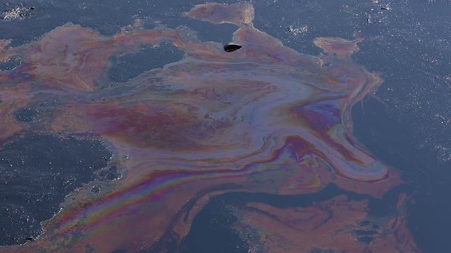 The former dump toxic waste in Ostrava, oil lagoon, nature effects from water and soil contaminated with oil and chemicals, environmental disaster, contamination of the environment, Moravia