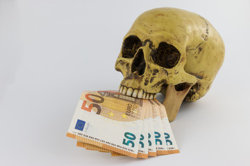 Skull with several Euro bills in his mouth, on white background