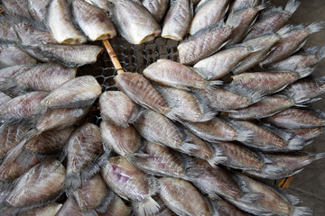 Dried fish of local food in Thailand